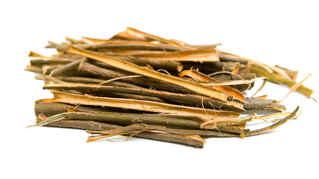 How Willow Bark Extract Benefits Pet Grooming