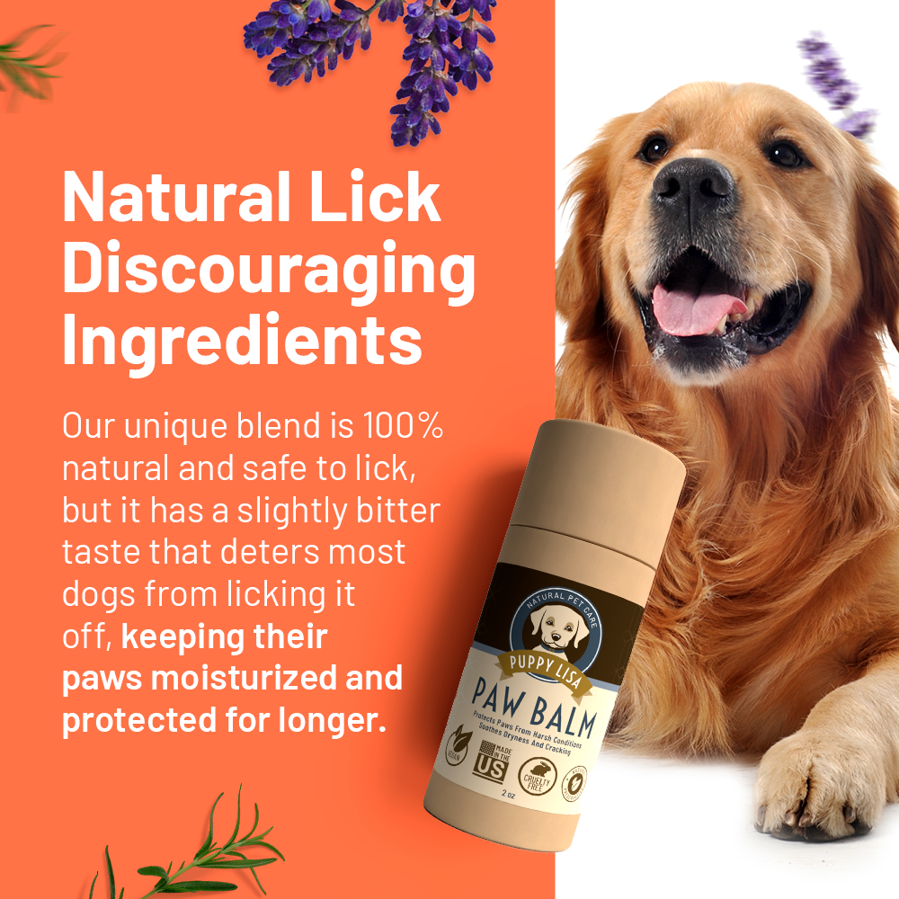 Moisturizing Paw Balm for Dogs Made in the US All Natural Protection Against the Elements Puppy Lisa