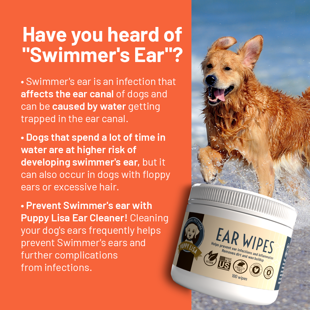Cockapoo ear cleaning solution top