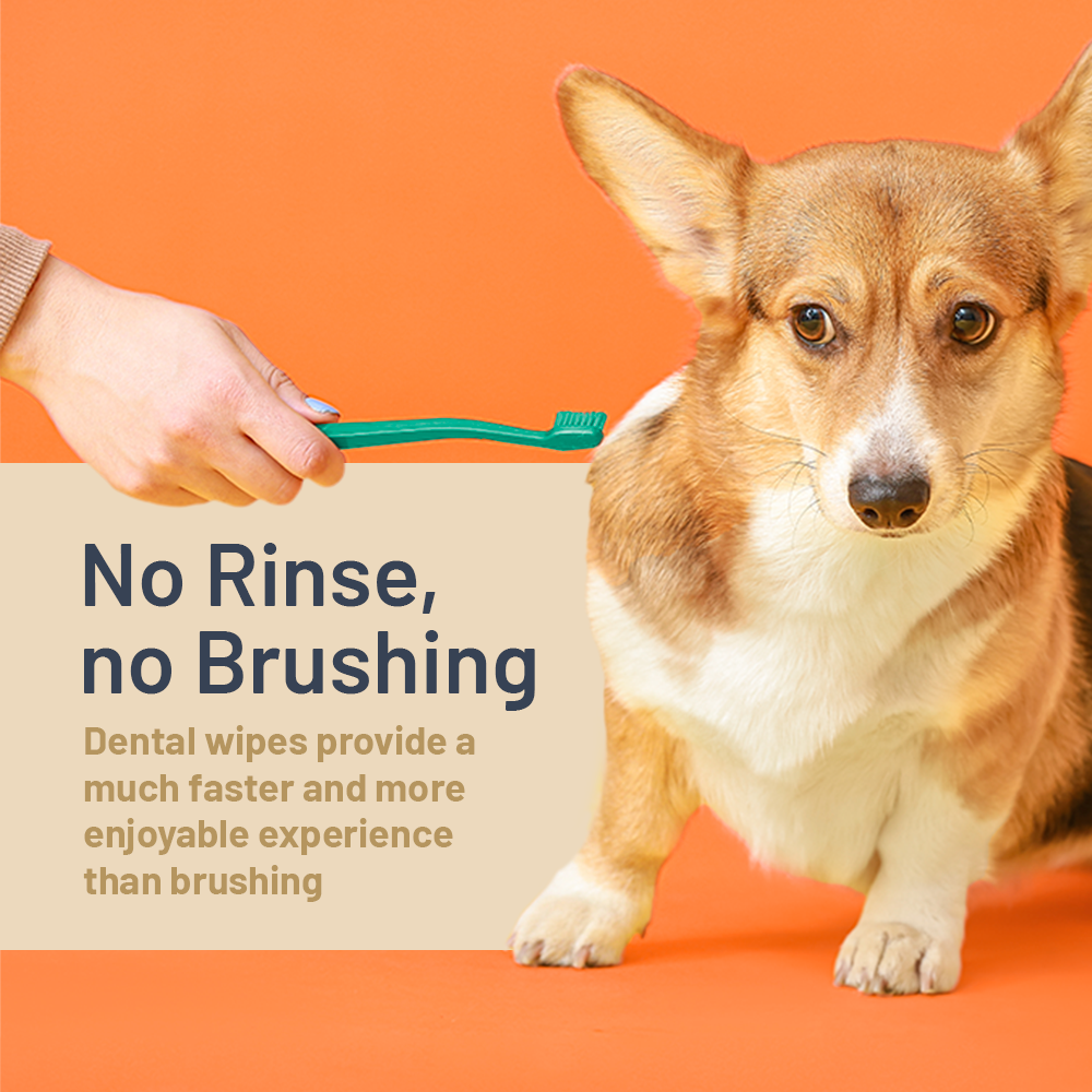 All natural dental wipes for dogs clearance